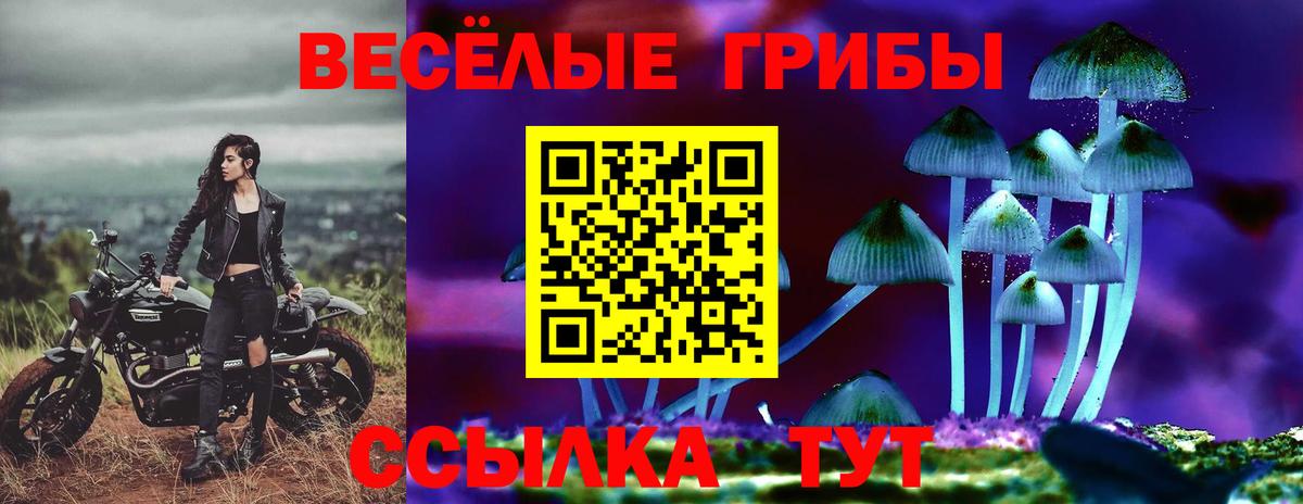 Галлюциногенные грибы мицелий Кинешма